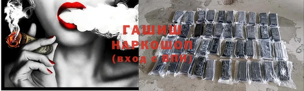 соль ск Новозыбков