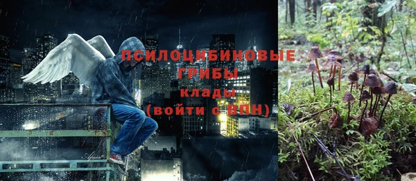 соль ск Новозыбков