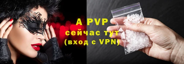 соль ск Новозыбков