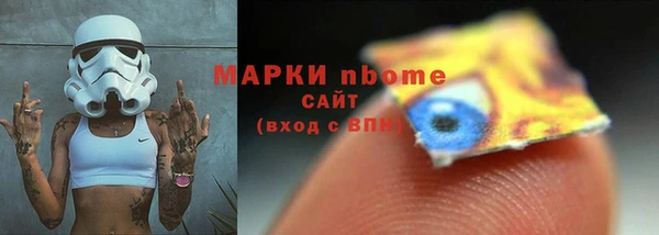 соль ск Новозыбков