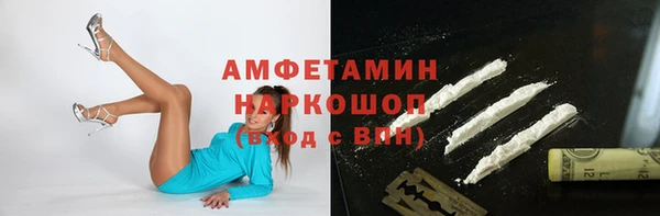 соль ск Новозыбков
