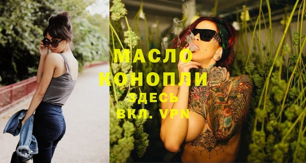 соль ск Новозыбков