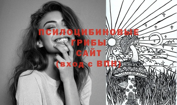 мет Новодвинск