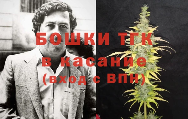 соль ск Новозыбков