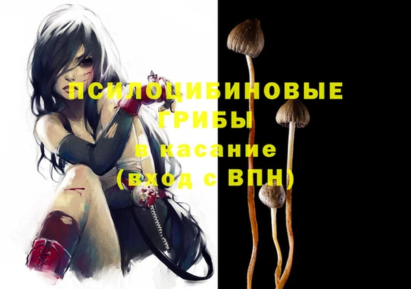 мет Новодвинск